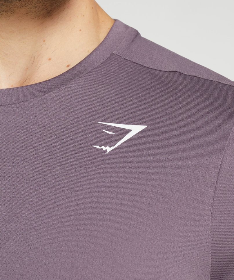 Koszulki Gymshark Arrival Męskie Fioletowe | PL 523WKU